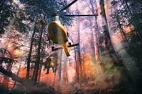 Высокая степень пожарной опасности сохраняется в Тюменской, Тобольской, Ишимской авиазонах