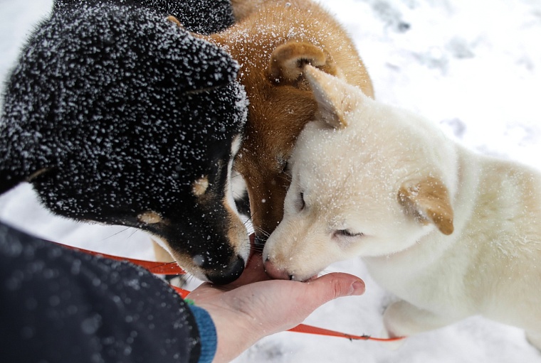 фото Саши Бортник