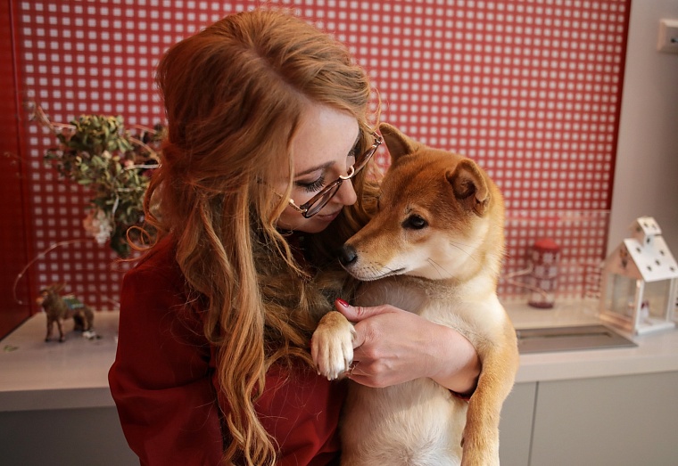 Гром, Шира и Гроза: в Тюмени живет разноцветная стая сиба-ину