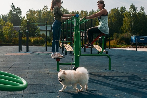 Молодые тюменцы голосуют за изменения в городе