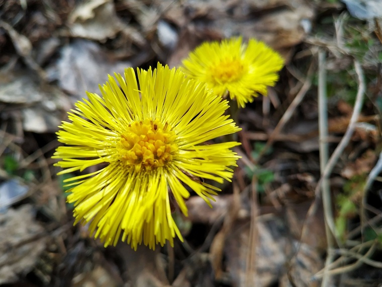 Аниторова! Тюменский этнопарк принял первых гостей