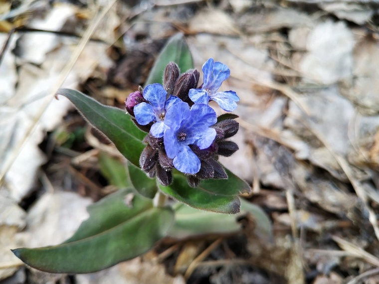 Аниторова! Тюменский этнопарк принял первых гостей