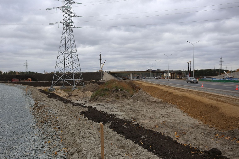 В Тюмень с проверкой приехали представители Совета Федерации