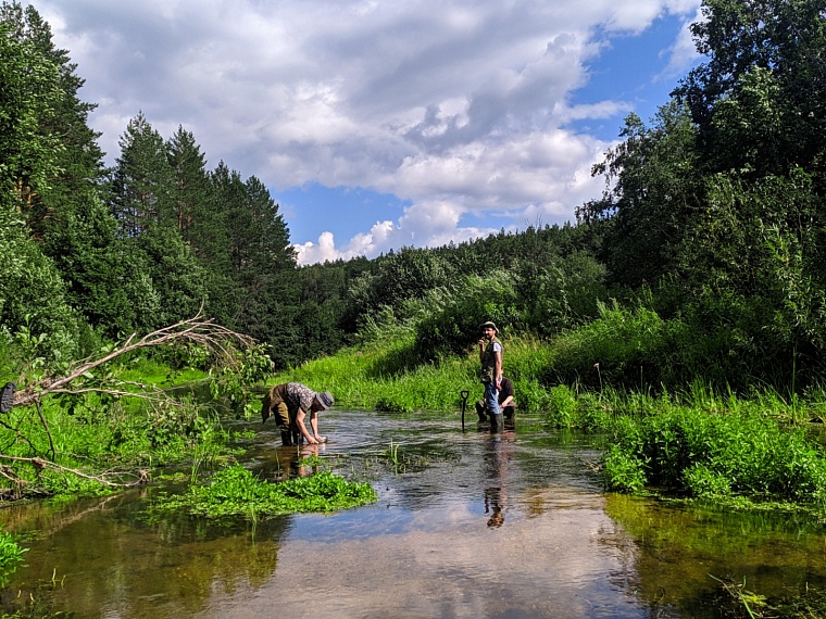 Палеофекалия акулы и зубы древних макрелей: что можно найти на новом акульем пляже под Тюменью