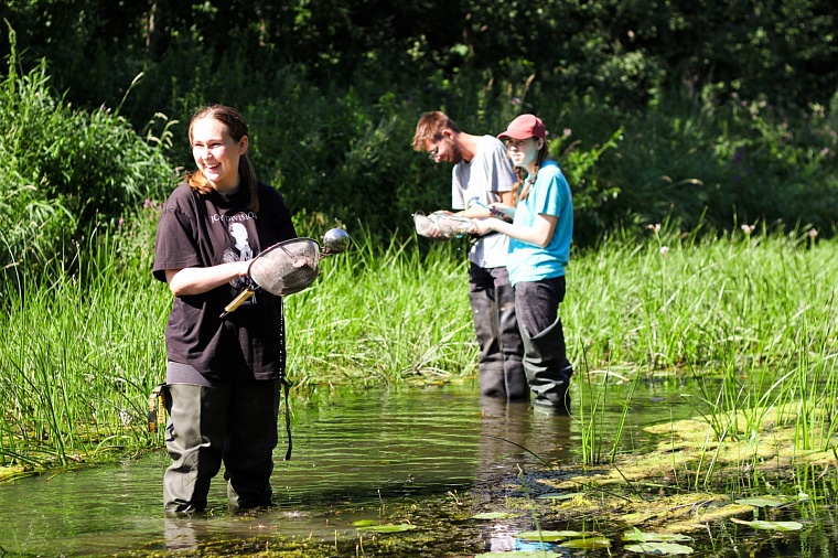 Палеофекалия акулы и зубы древних макрелей: что можно найти на новом акульем пляже под Тюменью