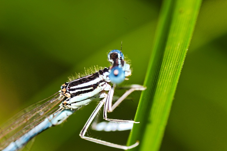 Палеофекалия акулы и зубы древних макрелей: что можно найти на новом акульем пляже под Тюменью