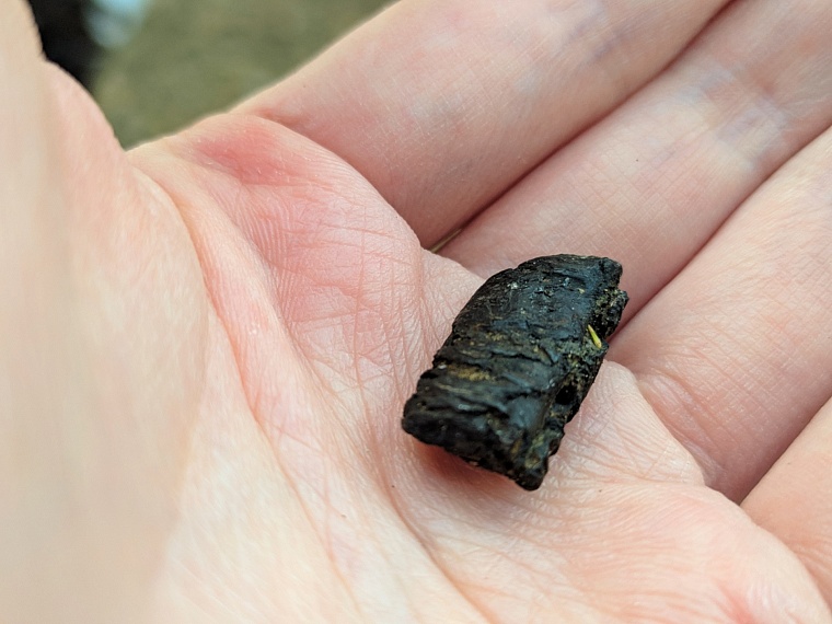 Вот она, чудо-фекалия