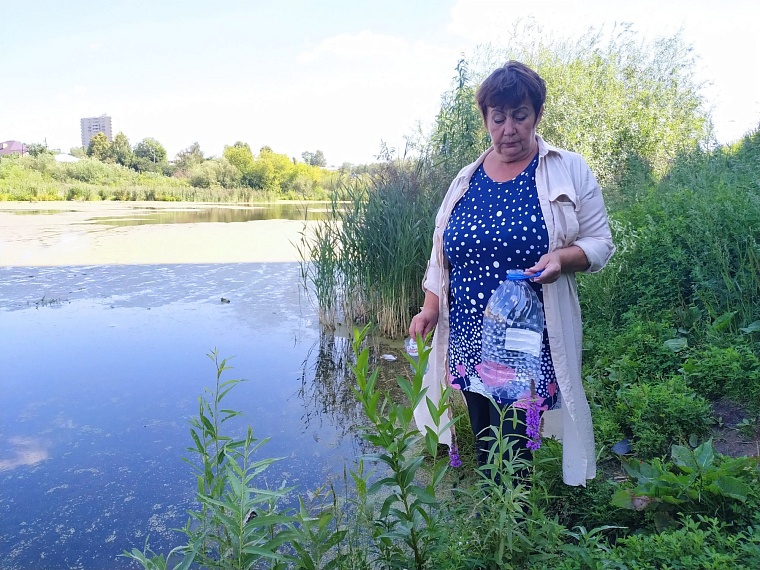 Спасем уточек! Тюменская экоактивистка предлагает благоустроить затон Туры