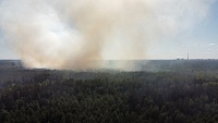 В Тюменской области за сутки ликвидировали пять лесных пожаров