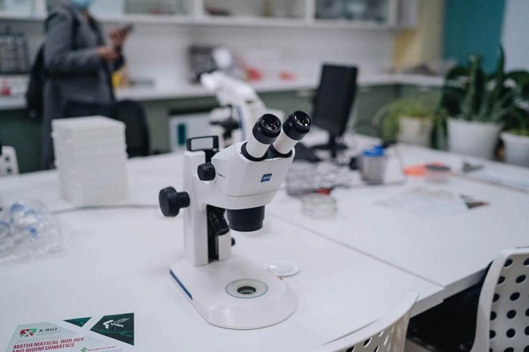 Тюменские ученые придумали, как сельхозотходы использовать в качестве удобрений или топлива