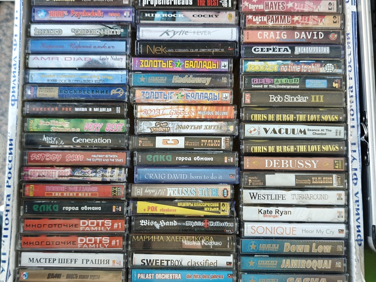 Тюмень читающая. Как проходит «Пикник книг» на площади Солнца