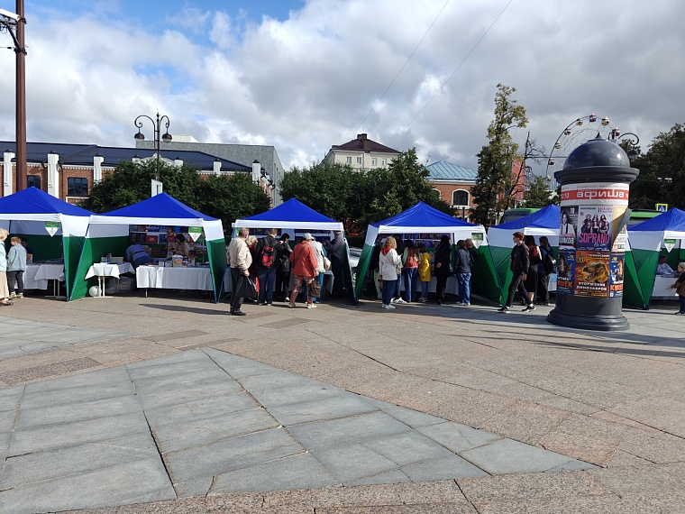 Тюмень читающая. Как проходит «Пикник книг» на площади Солнца