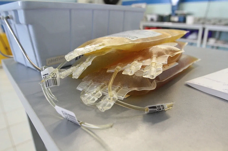 Тюменцы сдали кровь для проведения операций участникам СВО