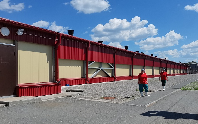 С июля этого года Боровская птицефабрика возобновляет поставки куриного яйца в магазины