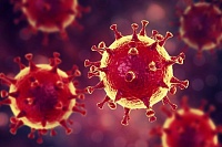 В Тюменской области выявили 84 новых заболевших коронавирусом