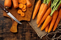 Как садить лук, чеснок и морковь под зиму