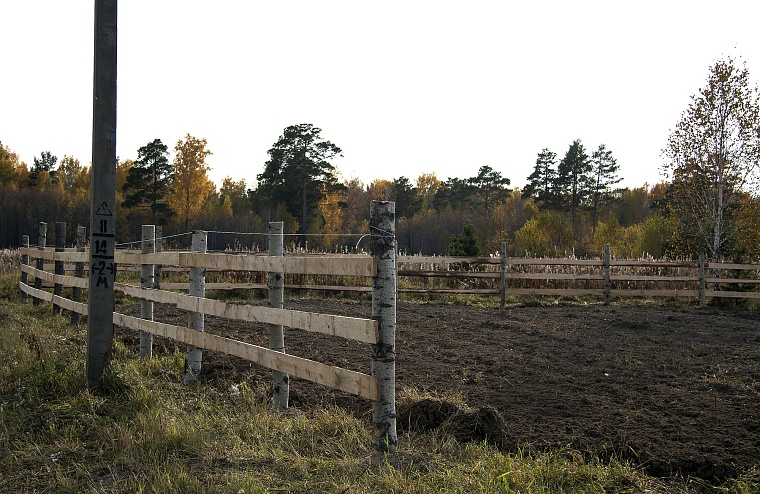 Народные приметы на 11 сентября: с Ивана мужик осень встречает, баба бабье лето начинает