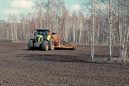 Тюменские аграрии приступили к посеву яровой пшеницы