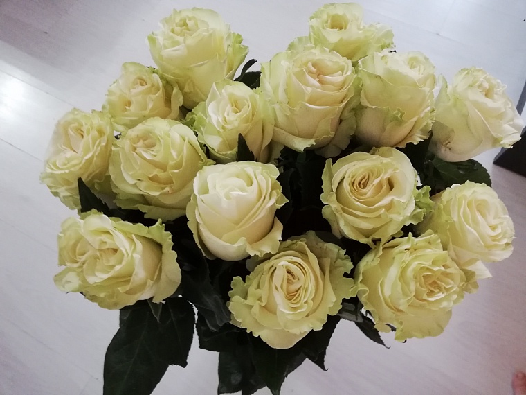 В России предложили стимулировать бизнес по продаже цветов в экологичной упаковке