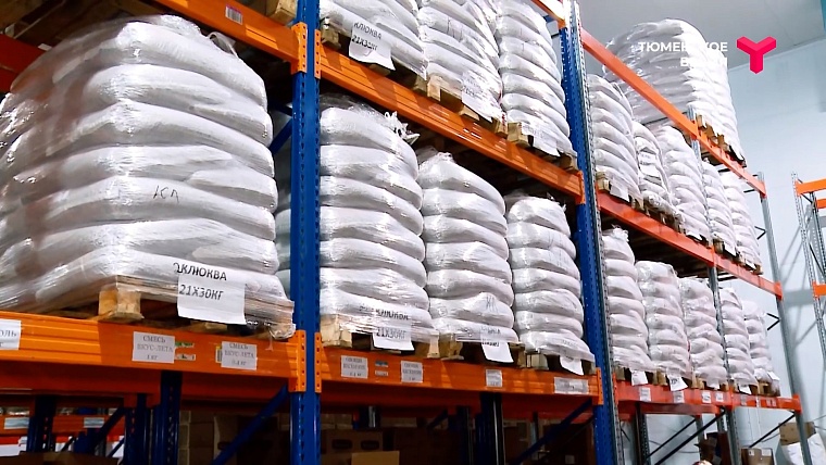 Что посмотреть в Тюменском районе: рыбное подворье, горячий источник, зелено-ягодное производство