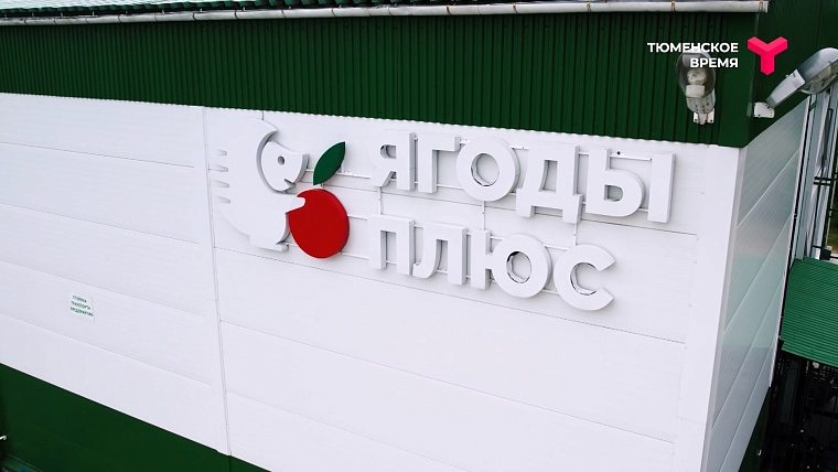 Что посмотреть в Тюменском районе: рыбное подворье, горячий источник, зелено-ягодное производство