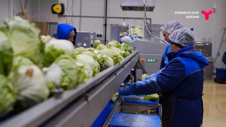 Что посмотреть в Тюменском районе: рыбное подворье, горячий источник, зелено-ягодное производство