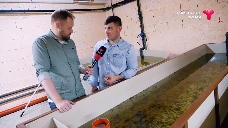 Что посмотреть в Тюменском районе: рыбное подворье, горячий источник, зелено-ягодное производство