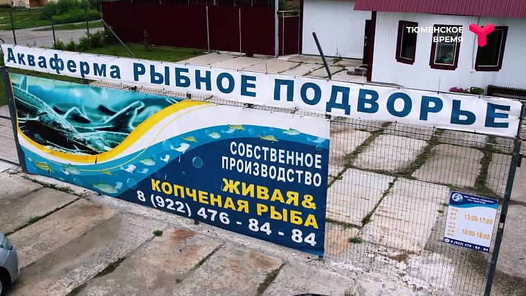 Что посмотреть в Тюменском районе: рыбное подворье, горячий источник, зелено-ягодное производство