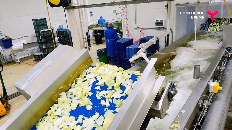 Что посмотреть в Тюменском районе: рыбное подворье, горячий источник, зелено-ягодное производство