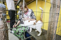 Кошачье дело: как в Тюмени заботятся о кошках, которые никому не нужны