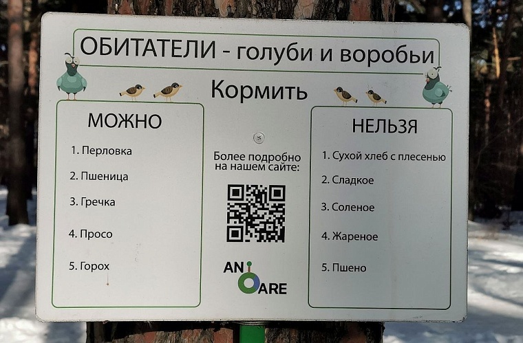 Тюменцев призывают покормить белок и птиц правильной едой