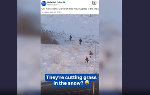 Тюменское видео завирусилось в Англии