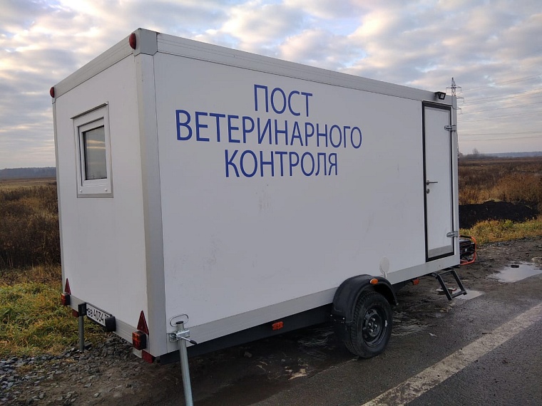 На борьбу с птичьим гриппом в Тюмень прибыли уральские спасатели