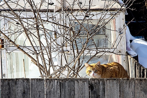 Народные приметы на 12 марта: Прокоп Перезимний дорогу порушит