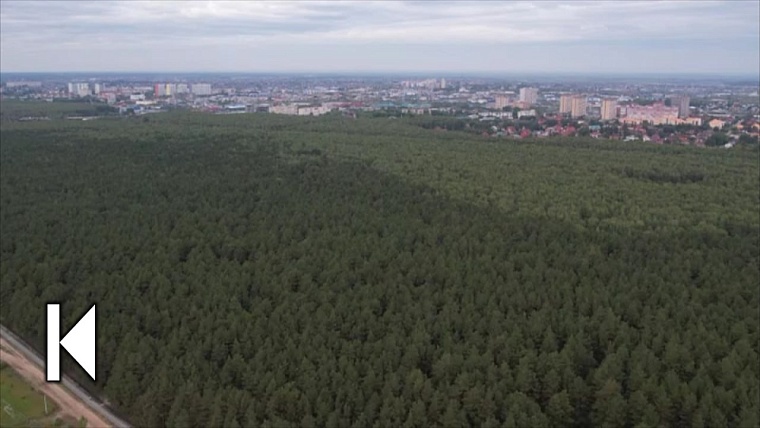 Лесопарк им. Ю.А. Гагарина в Тюмени не пострадает при строительстве Межуниверситетского кампуса