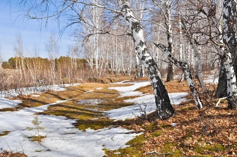 Фото: правительство Тюменской области