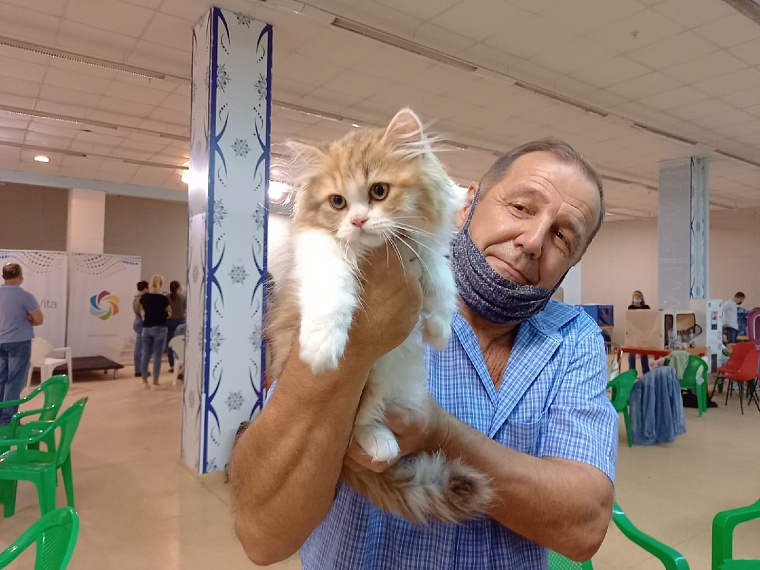 "Кошкин дом" захватили мейн-куны