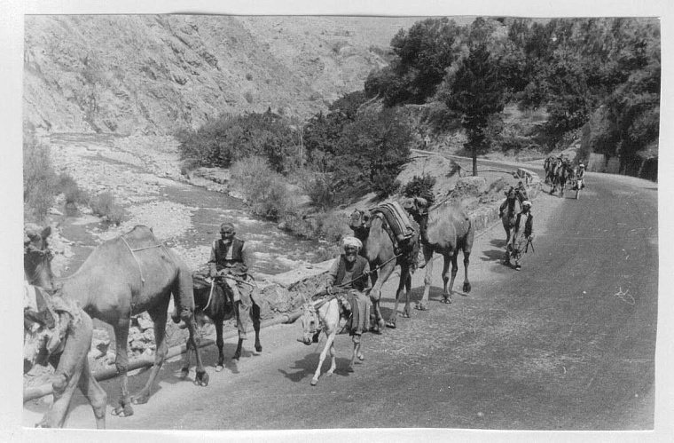 Валентин Глушко: После войны в Афганистане до сих пор ненавижу горы