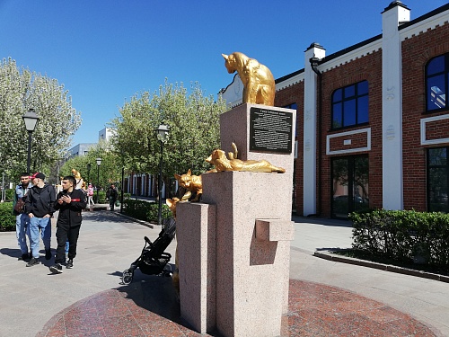 Тюменская область лидирует в УрФО по динамике миграционного прироста