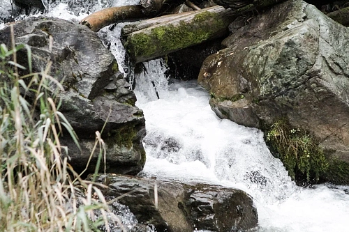 Народные приметы на 22 апреля: как наши предки отмыкали пути вешние