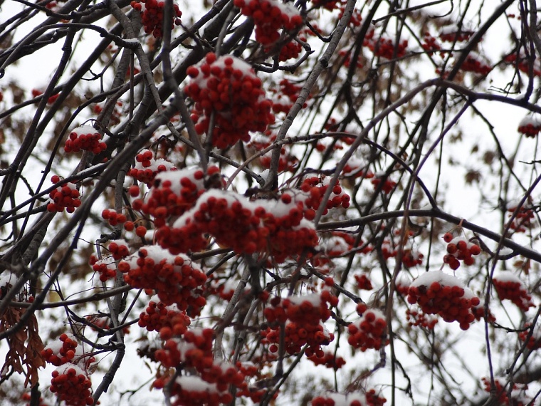 Народные приметы: Сергей зиму начинает