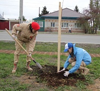 Десять яблонь высадили в Ялуторовске в рамках международной акции «Сад памяти»
