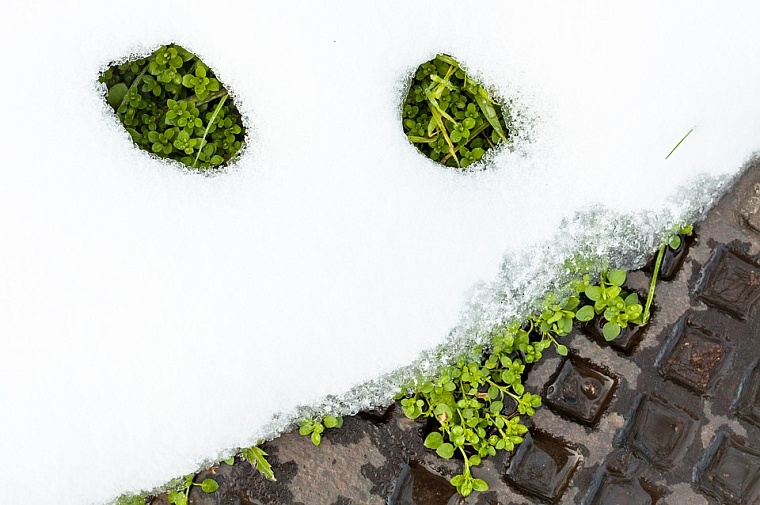 Фото: pixabay.com