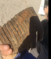 Рыбаки нашли древние кости на берегу Иртыша