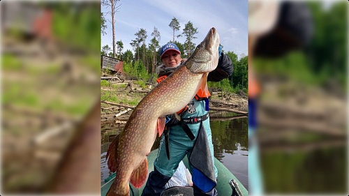 "Рыба моей мечты": жительница ХМАО поймала щуку ростом с себя