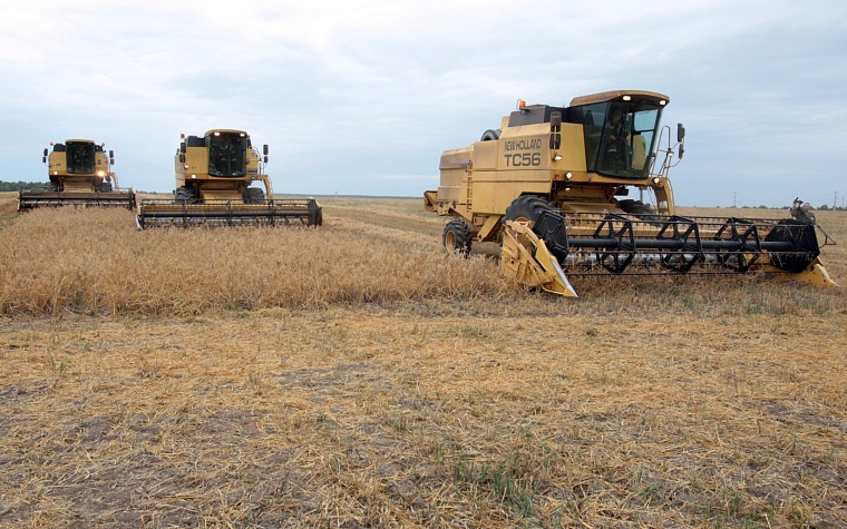 Урожай-2023: тюменские аграрии убрали 83% зерновых и зернобобовых культур