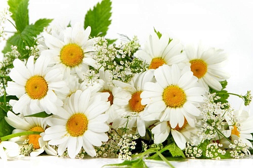 Александр Моор поздравил тюменцев с Днем семьи, любви и верности