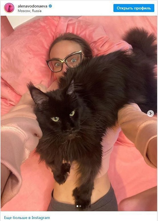 Глядите, кот! Смотрим на пушистых друзей тюменских знаменитостей