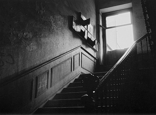 Решить квартирный вопрос поможет аренда жилья