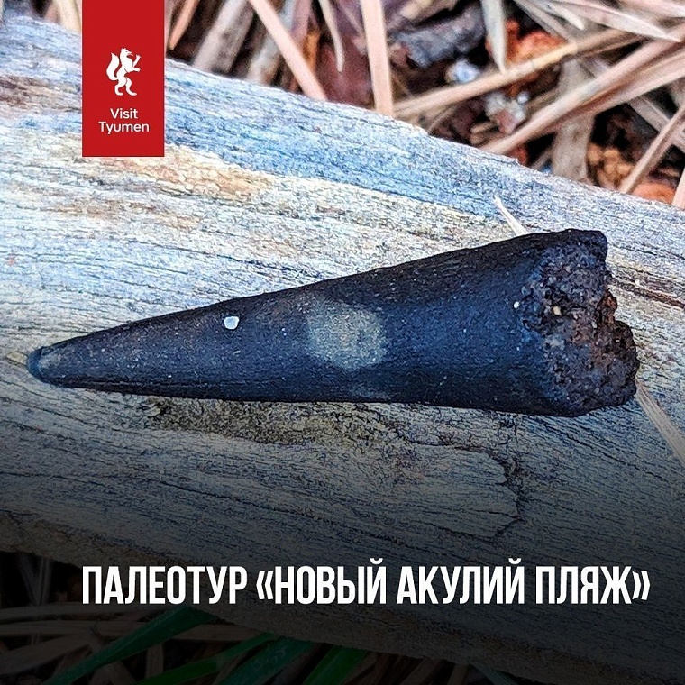 Афиша на уик-энд: День молодежи, секретный ужин и тюменские страшилки